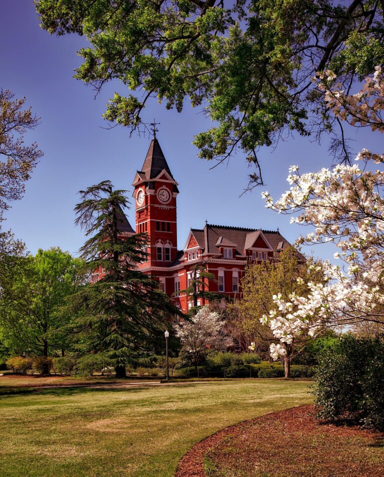 Best Universities in USA for AI