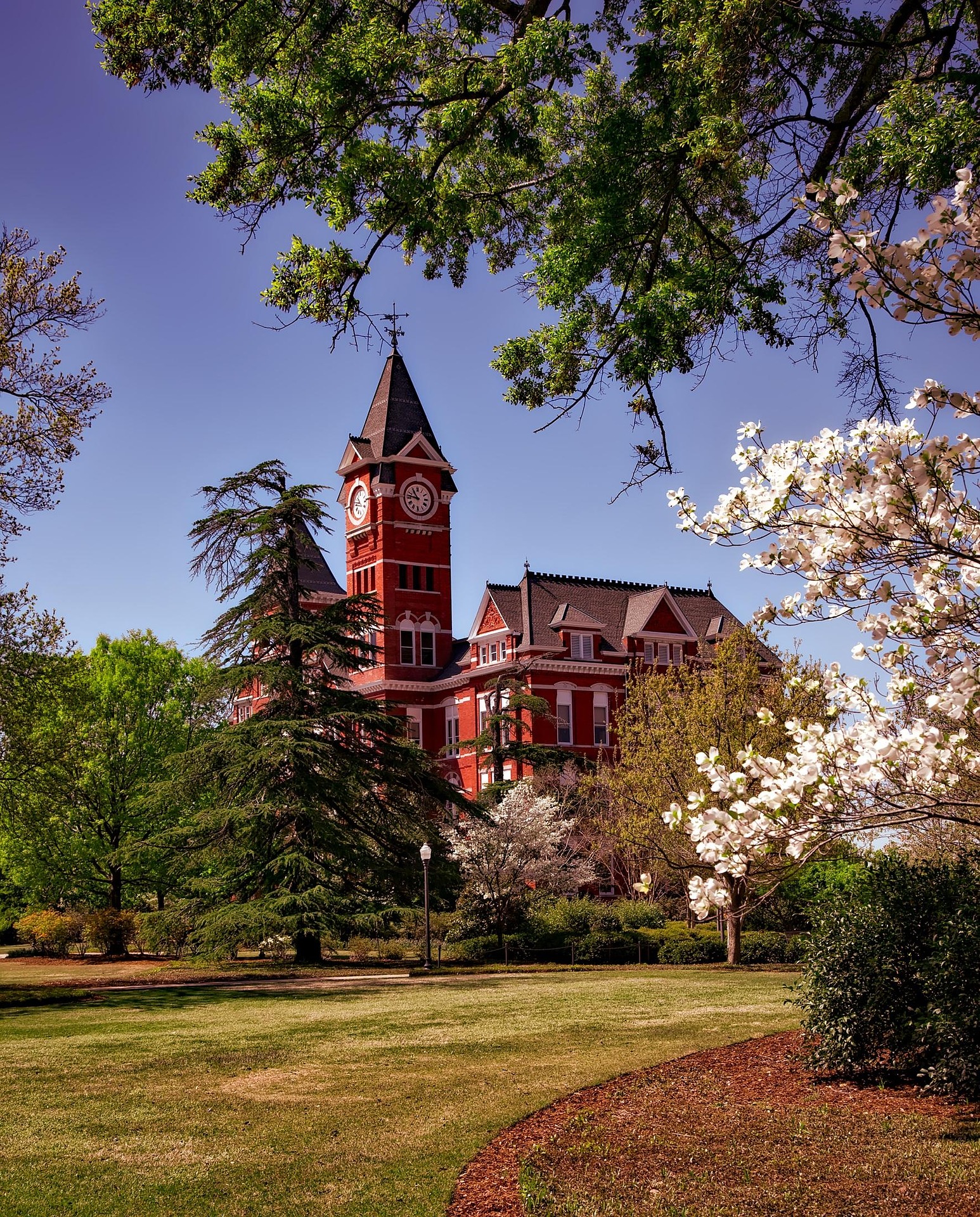 12019 samford hall 1772565 1920